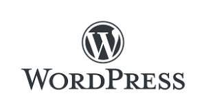 Best Tool For Website Development in WordPress 